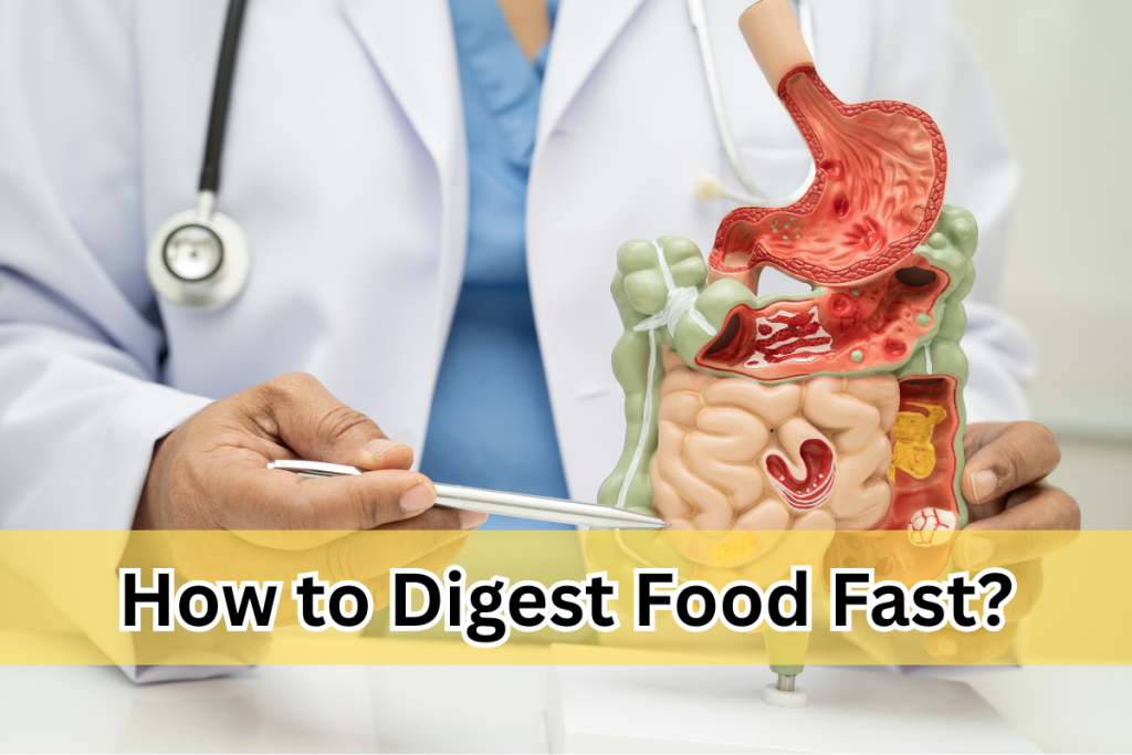 How to Digest Food Fast